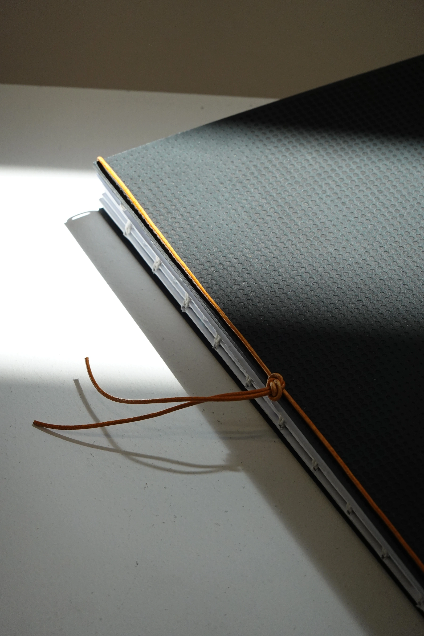 Portfolio cover and leather binding cord