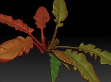 Hybrid Plant - digital plant detail