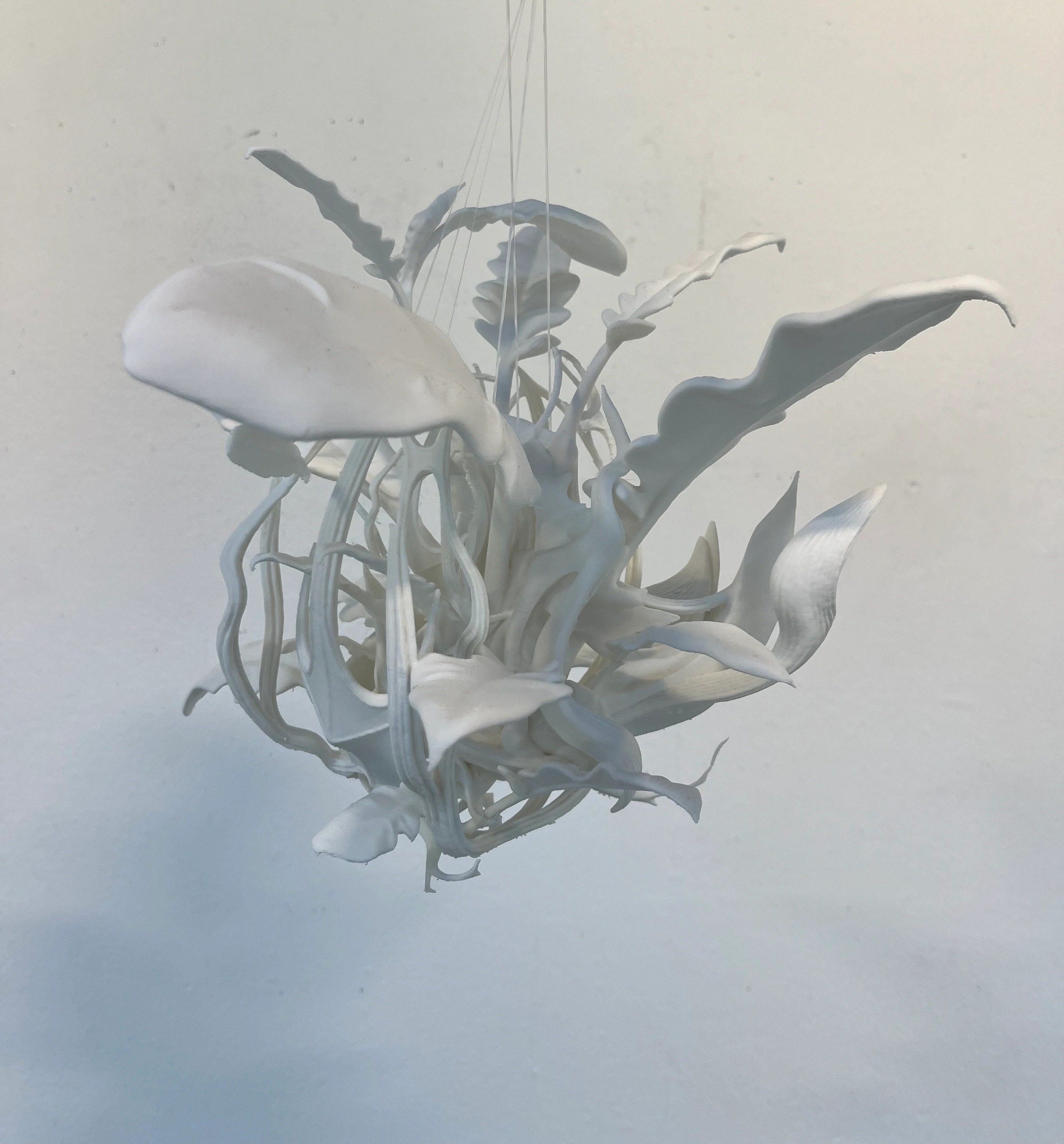Hybrid Plant - physical print