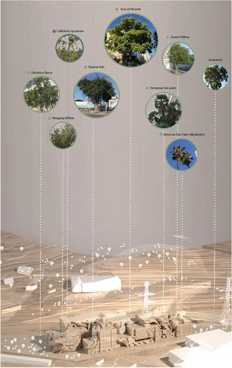 Hybrid - regional vegetation study